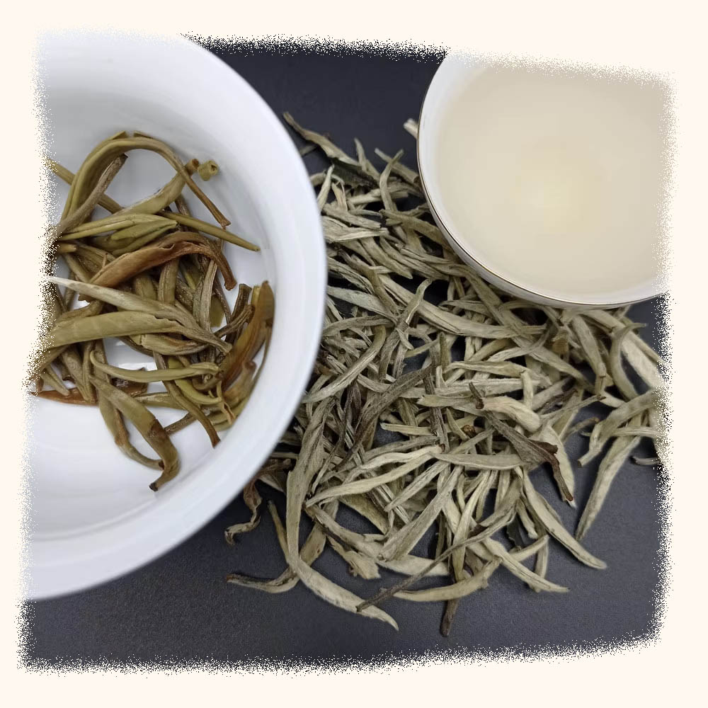 Гу Шу Бай Хао «защищает клетки от повреждений» Белый&nbsp;чай